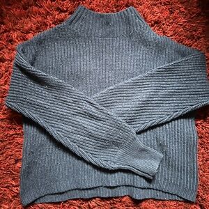 Blue turtle neck sweater 
Partially cropped